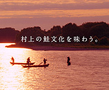 三面川（みおもてがわ）の写真