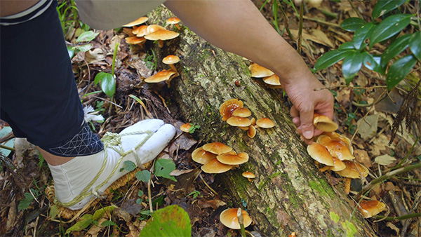 撮影地 イメージ