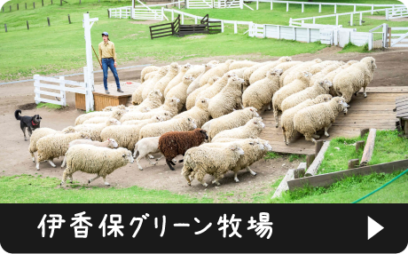 伊香保グリーン牧場