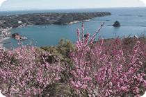 「寝姿山自然公園」からの絶景